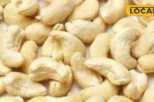 Does eating cashew nuts reduce the risk of heart attack … Experts removed from secret – Uttar Pradesh News