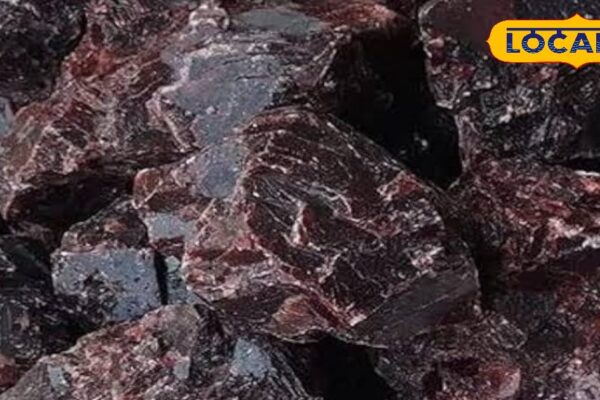You can put it in every item of food, grandmother’s favorite, no less than Sanjeevani, its miraculous benefits – uttar pradesh news
