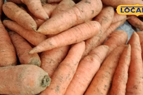 This vegetable with magical effects for eyesight and health, know how and benefits of consumption – uttar pradesh news