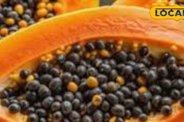 Do not consider it useless and throw away the seeds of this fruit, they are very miraculous, they protect from cancer – uttar pradesh news