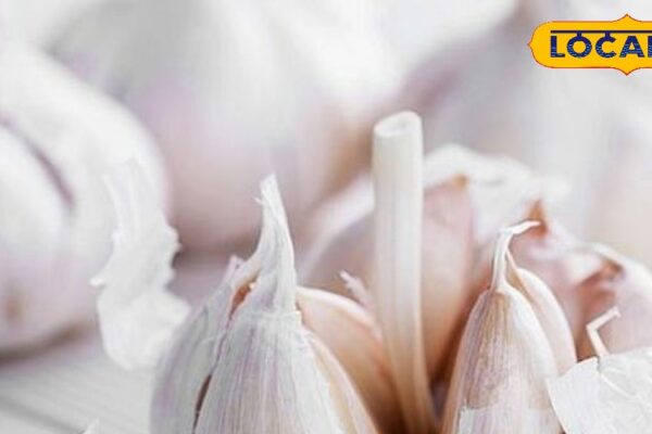 Drink garlic water on an empty stomach every morning, it is very beneficial in these diseases, learn everything from the doctor