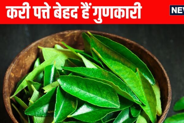 Kadi Patta Khane Ke Fayde: Benefits of Eating Curry Leaf and Method of Consumption
