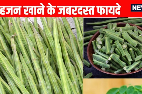 Sahjan khane ke fayde. Moringa Benefits. Drumstick is full of protein, eating is 7 benefits