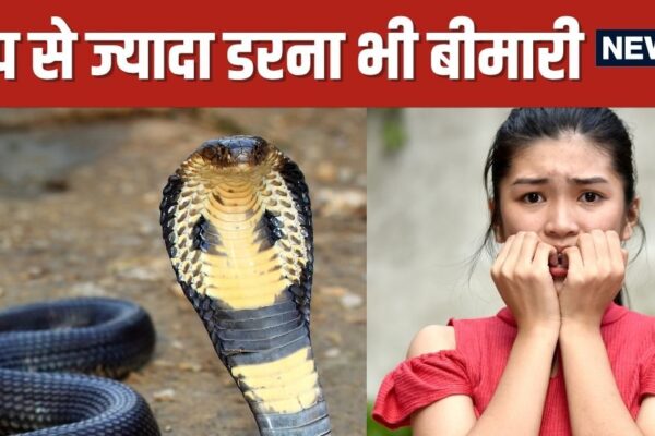 Some people scared of snakes know all about snake phobia | Why are you afraid to see a snake, is this snake phobia